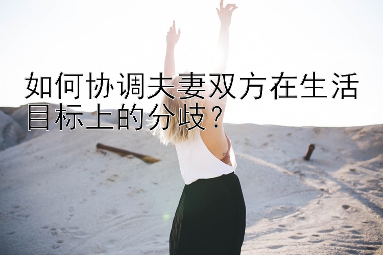 如何协调夫妻双方在生活目标上的分歧？