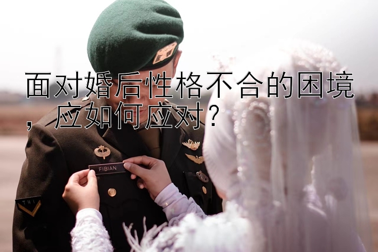 面对婚后性格不合的困境，应如何应对？