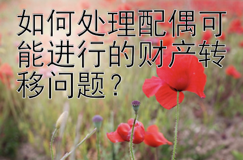 如何处理配偶可能进行的财产转移问题？