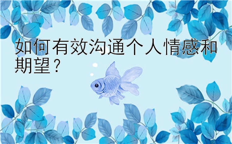 如何有效沟通个人情感和期望？