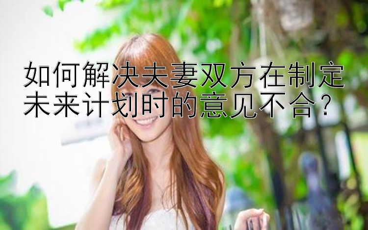 如何解决夫妻双方在制定未来计划时的意见不合？