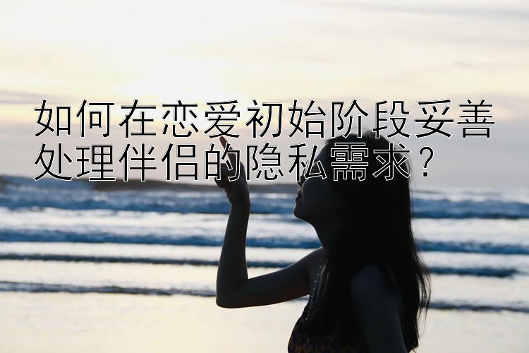 如何在恋爱初始阶段妥善处理伴侣的隐私需求？