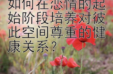 如何在恋情的起始阶段培养对彼此空间尊重的健康关系？