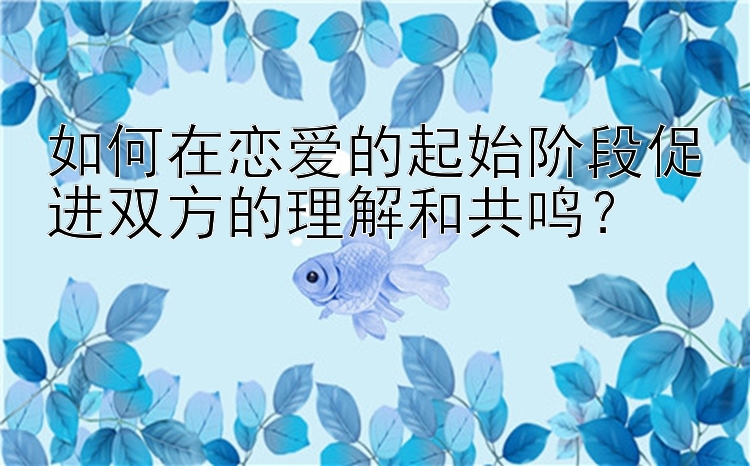 如何在恋爱的起始阶段促进双方的理解和共鸣？