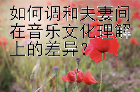 如何调和夫妻间在音乐文化理解上的差异？