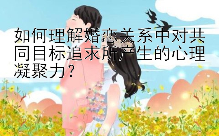 如何理解婚恋关系中对共同目标追求所产生的心理凝聚力？