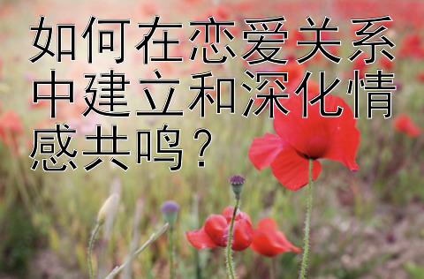 如何在恋爱关系中建立和深化情感共鸣？