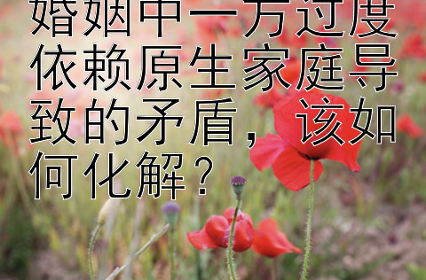 婚姻中一方过度依赖原生家庭导致的矛盾，该如何化解？