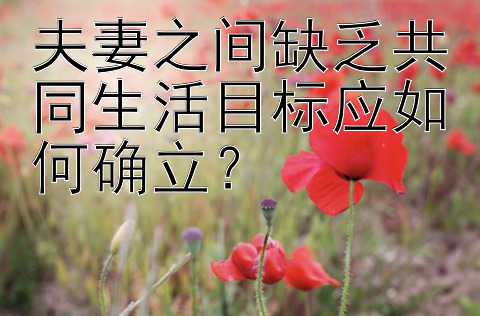 夫妻之间缺乏共同生活目标应如何确立？